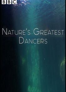 Nature's Greatest Dancers poster