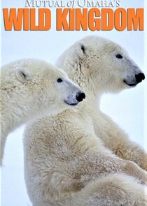 Mutual of Omaha's Wild Kingdom poster