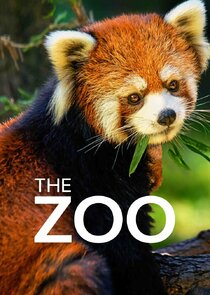 The Zoo poster