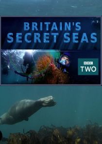 Britain's Secret Seas poster