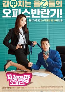 Radiant Office poster