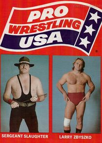Pro Wrestling USA poster