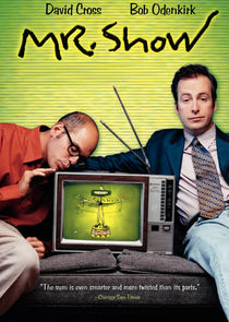 Mr. Show poster