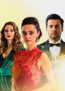 Evlat Kokusu poster