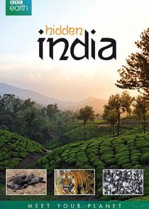 Hidden India poster