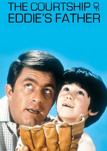 The Courtship of Eddie's Father poster