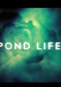 Pond Life poster