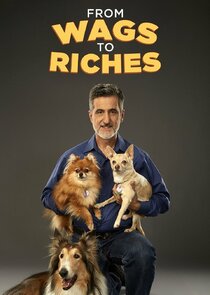 From Wags to Riches with Bill Berloni poster