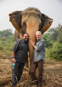 Paul O'Grady: For the Love of Animals - India poster