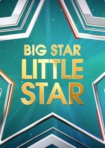 Big Star Little Star poster