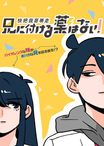 Ani ni Tsukeru Kusuri wa Nai! poster