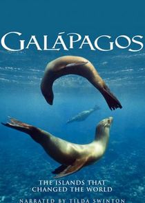 Galapagos poster