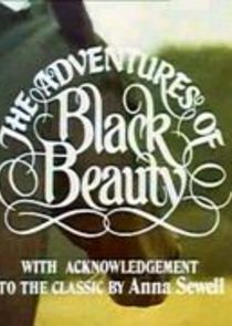 The New Adventures of Black Beauty poster
