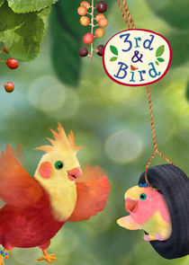 3rd & Bird poster