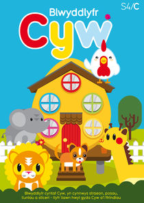 Cyw poster