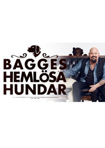 Bagges hemlösa hundar poster