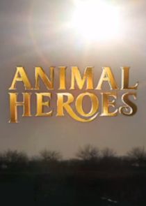Animal Heroes poster
