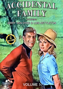 Accidental Family poster