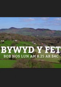 Bywyd y Fet poster