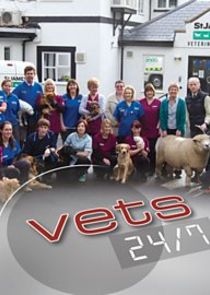 Vets 24/7 poster