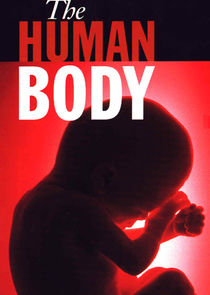 The Human Body poster