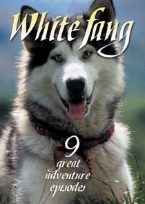 White Fang poster