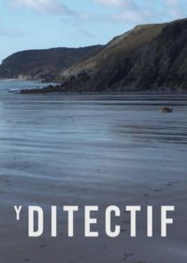 Y Ditectif poster