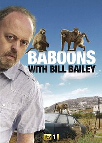 Baboons with Bill Bailey poster