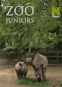 Zoo Juniors poster
