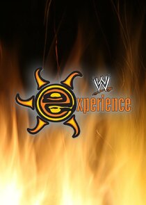 WWE Experience poster