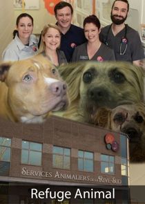 Refuge Animal poster