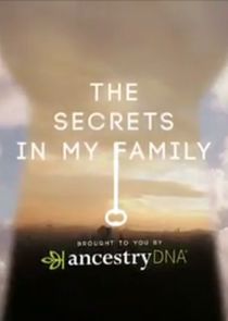 The Secrets in My Family poster