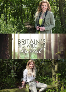 Britain's Big Wildlife Revival poster