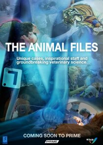 The Animal Files poster