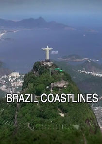 Brazil Coastlines poster