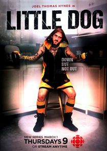 Little Dog poster