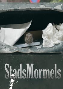 Stadsmormels poster