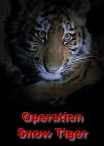 Operation Snow Tiger poster