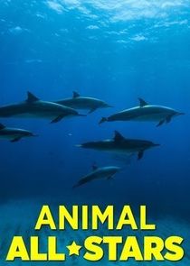 Animal All-Stars poster