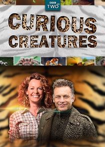 Curious Creatures poster