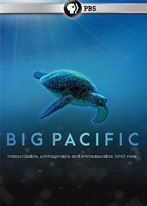 Big Pacific poster