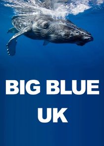 Big Blue UK poster