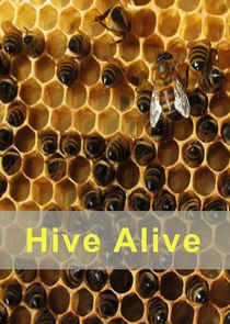 Hive Alive poster