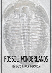 Fossil Wonderlands: Nature's Hidden Treasures poster