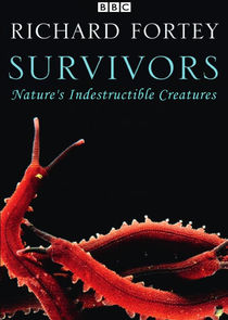 Survivors: Nature's Indestructible Creatures poster