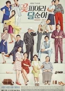 TV Novel: Dal Soon's Spring poster