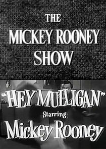 The Mickey Rooney Show poster