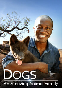 Dogs: An Amazing Animal Family poster