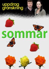 Uppdrag granskning sommar poster