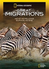 Great Migrations poster
